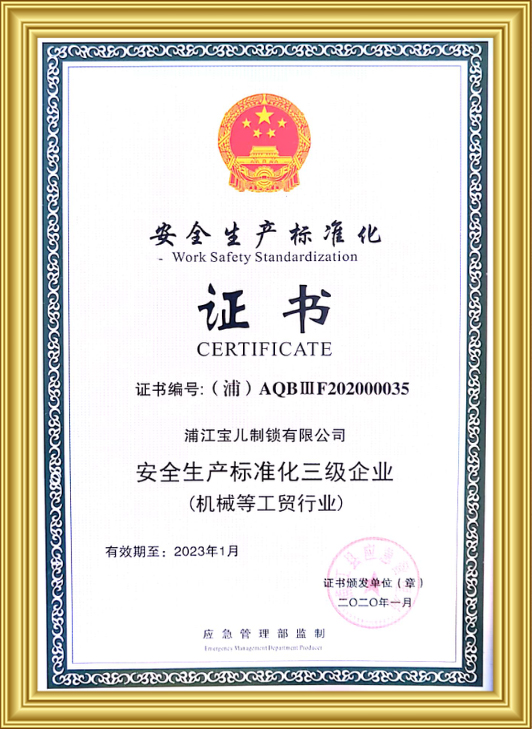 Safety Production Standardization Certificate
